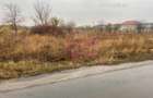 Teren Soseaua Alexandriei- Pasarela Bragadiru. - 3