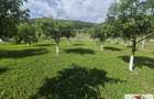 Teren intravilan (2292mp) de vanzare in Vintu de Jos - 8