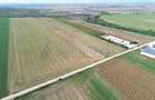 Teren intravilan de vanzare, 66400 mp, langa Oradea, Bihor - 3