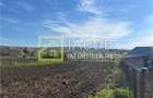 Teren intravilan 2554 mp, com. Prajesti, jud. Bacau - 9