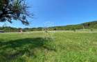 Teren 11.000 mp-ideal cabana/ferma-Unirea-Valea Slatinitei - 8