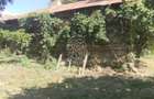 Teren intravilan 2828 mp+autorizatie casa-anexe-livada-Dorolea - 8