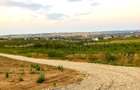 Teren Panoramic Superb, Paleu, Intravilan, 600-685mp - 1