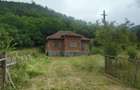Teren, padure si casa in Dumbrava de Jos, jud. Hunedoara - 2