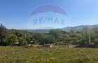 Teren extravilan 6.322 mp, împrejmuit, aproape de stadion Cugir, jud. - 10
