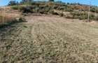 Teren intravilan la Berzasca, pe malul Dunarii, langa complex Egreta - 3