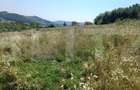 Vand teren extravilan in Stolna suprafata 2550 mp, front 37 utilitati in zona - 2
