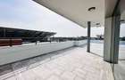 INCHIRIERE vila Baneasa || ponton privat || piscina naturala - 27