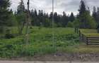 Teren intravilan de vanzare Predeal - 2