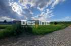Teren de vanzare Alexandru cel Bun 20.000 Euro 735mp - 7