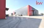 Hale moderne si spatii de birouri de inchiriat, zona aeroportului Craiova - 4