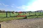 Teren intravilan in Campina, 7500mp--35e - 4