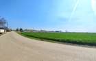 Teren intravilan | Dragomiresti Vale | Sat Zurbaua IF | INVESTITIE - 6