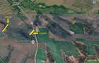 Nicolint, 2 Terenuri Extravilane, Arabil, 1.45 Hectare - 7