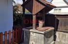 DE VÂNZARE – DOUĂ CASE ÎN SĂRĂȚENI, ÎN APROPIERE DE SOVATA - 7