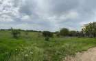 Domnesti - Str. Sfantul Dumitru, teren intravilan 1500 mp - 1