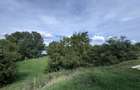 Hotel 20 camere Delta Dunarii 50 m deschidere teren 6000 mp acces auto - 28