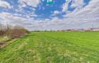 Teren extravilan, 1 ha, în orașul Sebiș, Arad - 9