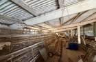 Hala industrială de vânzare în Beclean, Bistrița-Năsăud – 770 mp teren + cons - 3