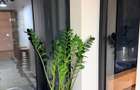 Apartament 2 camere, etaj 2/10, complet mobilat si utilat: aer conditionat, - 16