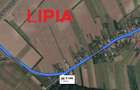 Lipia, 3200mp,D=18m.Orice variante imobiliara/asociere/inchiriere. - 3