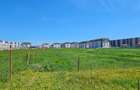 TEREN CHIAJNA - DEZVOLTARE IMOBILIARA - DIRECT PROPRIETAR - 3