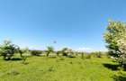 Teren Intravilan - 4