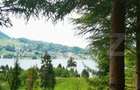 Teren Colibita, 1120 mp