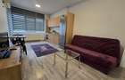 Închiriere Apartament 2 Camere Studio Rotar Park 2 - 3