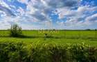 BG141-Teren-46.400 mp-Front 300 ml acces TIR | INCONTRO-Calea Sagului - 5