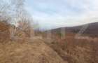 Teren extravilan, 12000 mp, curent com. Ramet - 3