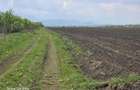 Oportunitate de investiție cu Exclusivitate! BOD, teren agricol! - 5