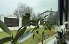 Casa Smart, Martha Bibescu complex vile Premium - 27