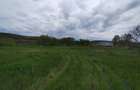 Teren constructie P+M, Sura Mare- Hamba, 717mp, utilitati - 7