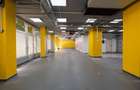 SPAȚIU COMERCIAL  | 231 MP | VAD COMERCIAL - 6
