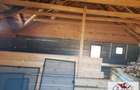 Casa la rosu structura lemn de vanzare in Alba Iulia - 4