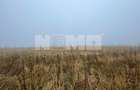 TEREN EXTRAVILAN | DOUA PARCELE SEPARATE | 70 ARI | CALAFINDESTI - 5
