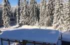 Afacere la cheie pensiune complet utilata și mobilata,energie verde, natura pura - 9