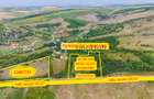 Teren intravilan 10.000 mp în Rediu Aldei (Aroneanu) - 2