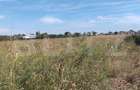 Teren intravilan de 5.400 mp | Matraca, județul Dâmbovița - 2