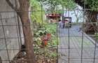 Apartament in vila 2 camere - 13