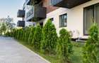 PIPERA-TUNARI - 3 CAMERE - BLOC NOU - READY TO MOVE - 9