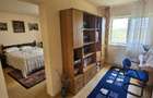 Ciopani vila 5 camere teren 4000 mp - 28