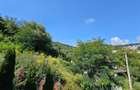 Apartament 3 camere zona Dupa Iniste - 13