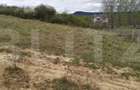 Teren intravilan de vânzare, 715 mp, în zona Valea Sigmirului - 2
