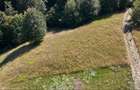 Teren 5000 mp, pretabil cabana de weekend, Sinca Noua
