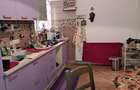 Pache Protopopescu: Apartament 2 camere parter de vilă cu grădină/curte - 1
