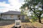 Casă 3 camere, Teren 1036 mp Front 22 m - Str. Florilor 46 - Carei - - 2