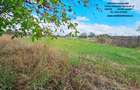 Proprietate Roznov,casa+anexe+teren 3630 mp - 12
