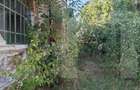 Urgent! Casă cu teren 5.038 mp, Pleșoiu-Arcești, stradă principală - 4